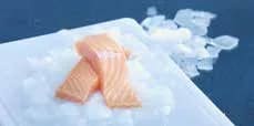 Seacon Atlantic Salmon