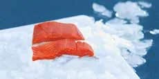 Seacon Sockeye Salmon Fillets