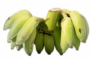 Fruits